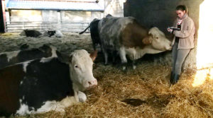 élevage laitier partenariat communication animale soin troupeau