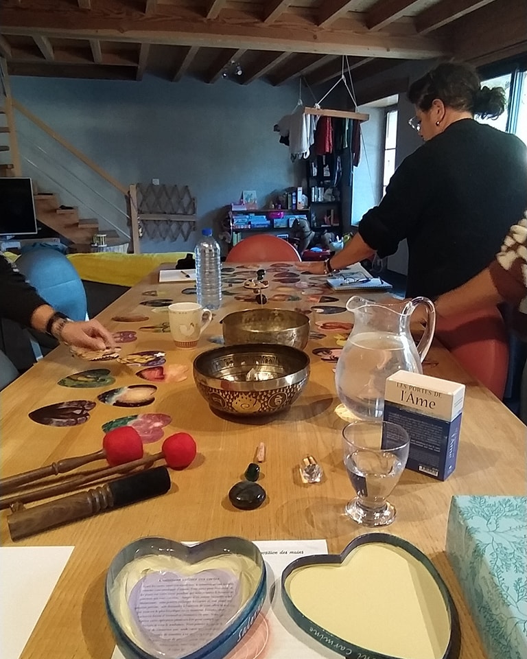 séminaire sur l'approche de soin holistique camille zanus thérapeute