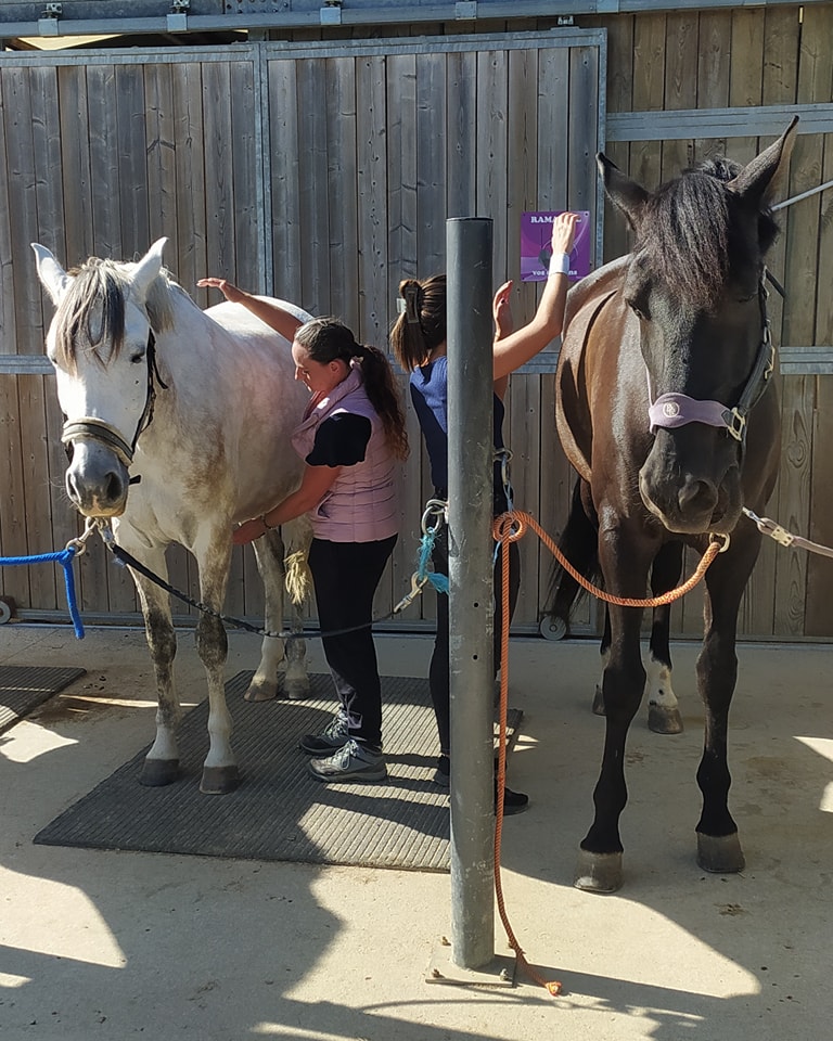 séminaire sur l'approche de soin holistique camille zanus thérapeute