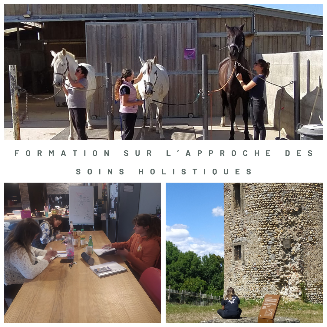 Formation holistique Camille zanus thérapeute soin énergétique, communication animale